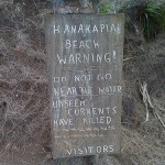Hawaii has killer waves (and not in a good way)