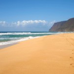 Beach time? Make sure the water won’t make you sick